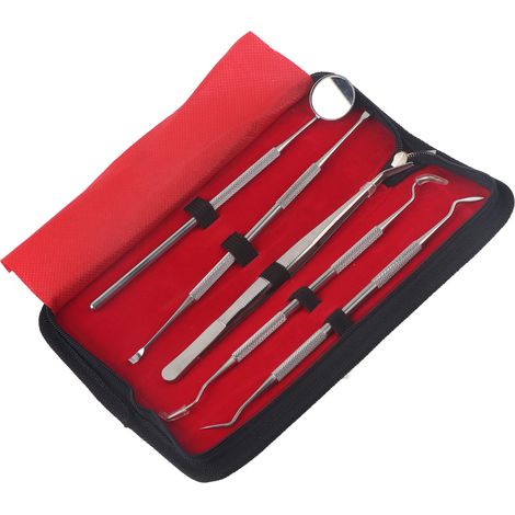 Kit de nettoyage dentaire professionnel 5 pièces en acier inoxydable, ensemble d'outils d'hygiène dentaire pour soins bucco-dentaires (1/5)