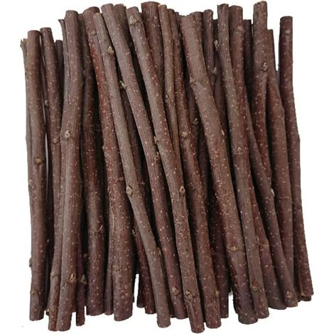 Bâtonnets à mâcher en forme de pomme, branches, forme de molaire, petit jouet naturel pour animaux de compagnie (1/5)