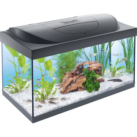 Tetra Aquarium-Komplettset LED Kleine Forscher 54 L schwarz (1/3)