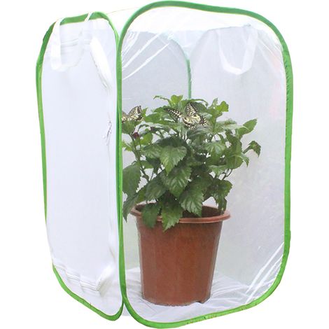 Cage d'élevage d'insectes portable pour papillons, habitat de terrarim, enclos de reproduction en maille fine (1/5)