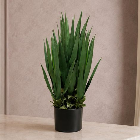 70cm Artificial Yucca Plant Premium (1/4)