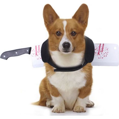 Costume Halloween pour chiens - avec effet coup de couteau (1/4)