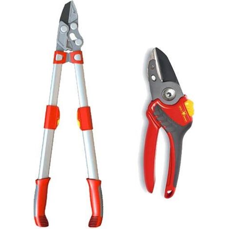 Wolf Garten RS900T POWER Cut Anvil Telescopic Loppers & RS2500 Pruner Secateurs