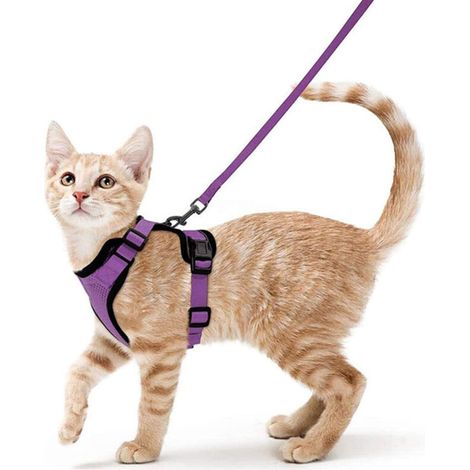 Harnais avec laisse pour chats, Harnais et laisse pour chats, Harnais réglable pour chatons, Collier harnais pour chats, Gilet respirant, Pour chat européen, chat persan (violet, S) (1/5)