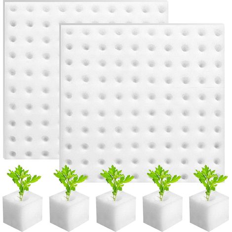 200 spugne quadrate per semina 25 x 25 x 25 mm, spugne per attrezzi da giardinaggio, cubetti di schiuma idroponica, spugne cubiche per talee, coltivazione e trapianto di piantine (bianche) (1/5)