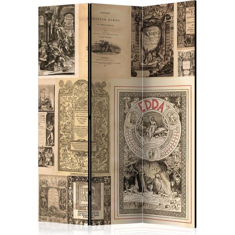 Paravento - Vintage Books [Room Dividers] - 135x172 (1/4)
