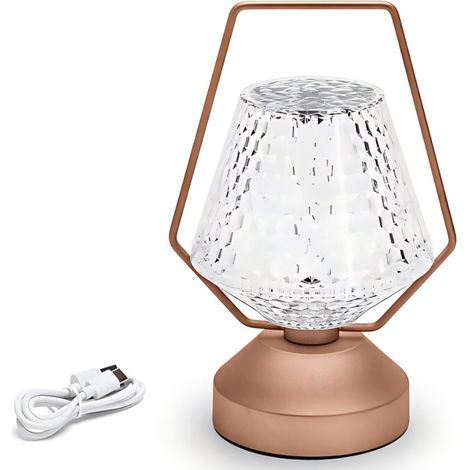 Lampe d'Ambiance Portable Rose et Or 1W Température Réglable Veilleuse Rechargeable USB (1/3)