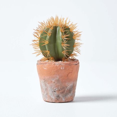 HOMESCAPES Small Round Artificial Cactus in Terracotta Pot, 15cm Tall