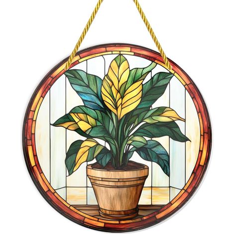 Cafemira Plante suspendue en acrylique, d'intérieur pot, décoration murale incassable (1/5)