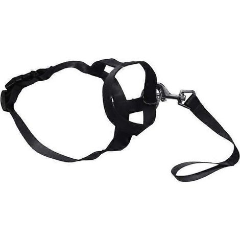 Muselière souple en nylon ventilée et élastique pour chien, protégeant la gueule des animaux et empêchant les morsures - Taille S - Noir