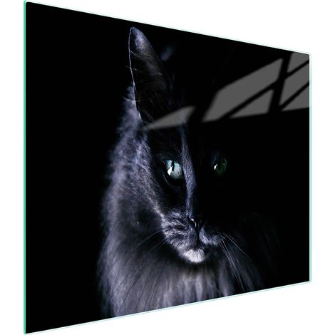 Glasschneidebrett 52x30 Katze (1/5)