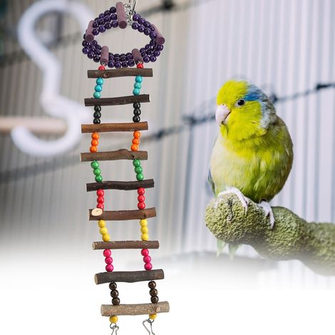 Hamster perroquet en bois, oiseau de compagnie, échelle colorée, pont suspendu, jouet pour oiseaux (1/5)
