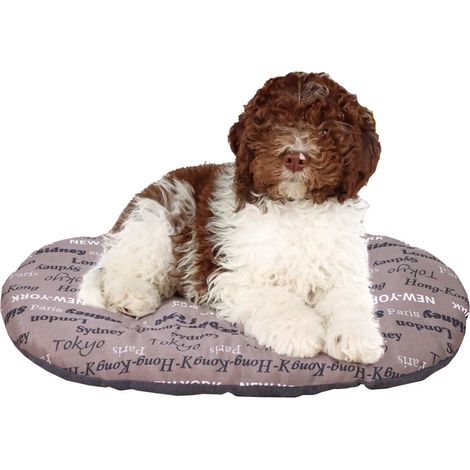 Panier Chien Coussin pour Chiens, Lavable, Tapis pour Niches et Voitures, en Coton avec Rembourrage Doux, 78 x 50 CCM. Marron (1/5)