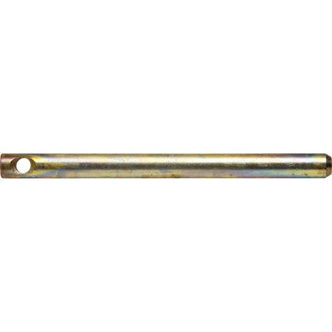 Pasador de acero para bloquear el marco EURO 20x160 mm, fi 12 mm, cargador 75537