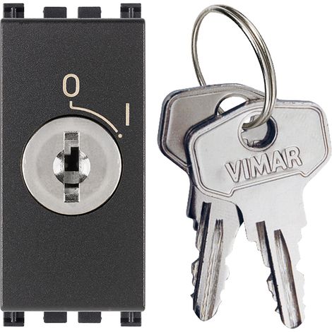 VIMAR - 19086.CU Pulsante 2P NO 16A +chiave unif. grigio