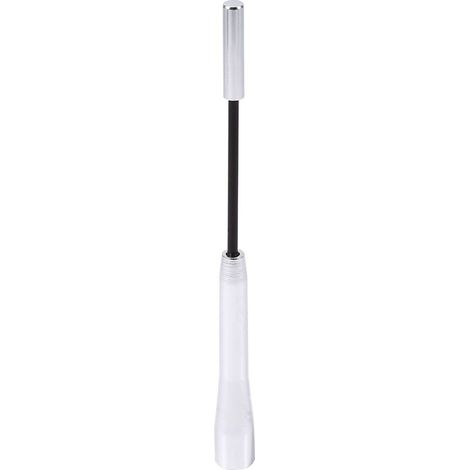 Dreiteiliger, einziehbarer Dachantennenmast aus Aluminium für Autoradios, Ariel AM/FM-Silberantenne (1/5)