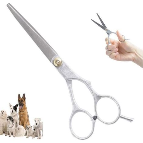 Ciseaux pour Animaux - Non spécifié - Ciseaux plats - Acier inoxydable - 16 cm - Argent (1/2)