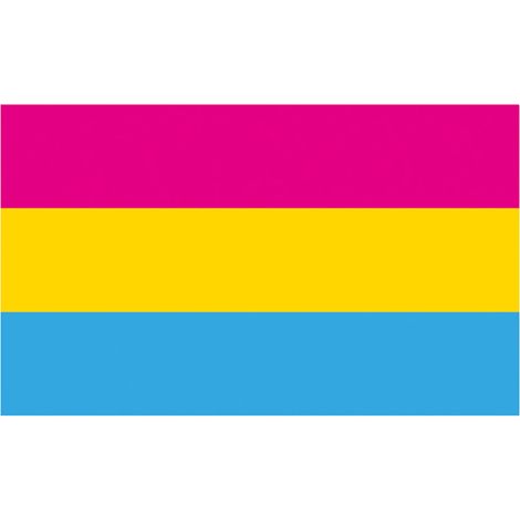 Drapeau Pansexuel - 150 x 90 cm - Avec Anneaux Métalliques - Pour Extérieur et Intérieur - 1 Pièce (1/5)