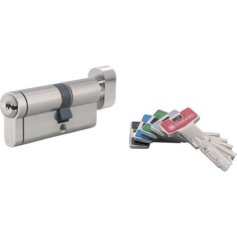 Cilindro europeo Transit 2 con pomolo 30 x 40 mm, nichelato, 5 chiavi – THIRARD (1/2)