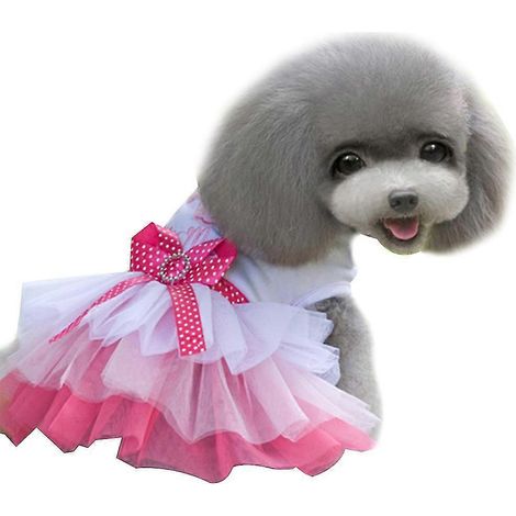 2 conjuntos de ropa para mascotas, falda para mascotas de primavera/verano (1/5)