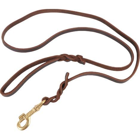 Faux leather dog leash - Soft and comfortable, with a snap hook - For outdoor play and walks (1/5)
