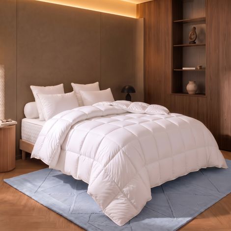 Couette Thermoduv Canard - 90% Duvet - Chaude - 140/200 - DODO (1/4)