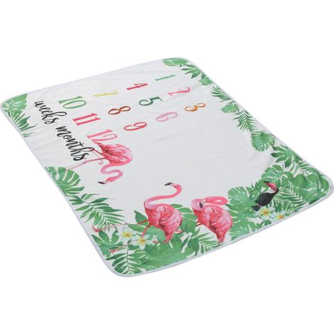 Couverture de fond pour photos mensuelles de bébé, accessoires photo, tapis de sol (1/5)