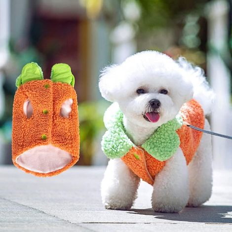 Niedlicher XL-Wintermantel für kleine Hunde, geeignet für Teddybären, Bichons und Katzen – Haustierbekleidung für Herbst/Winter (1/5)