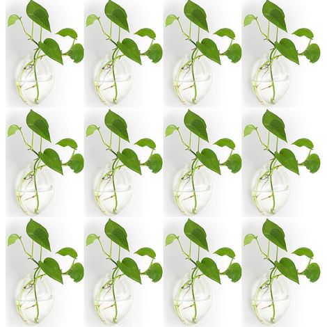 12 Pièces Murales Suspendues Planteurs de Verre Pot - Eau Plantation Vases Air Fleur Vase Plante Terrariums Conteneur de Plantes (1/5)