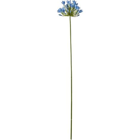 Agapanthus (Single Stem Flower) - Plastic - L15 x W15 x H75 cm - Blue