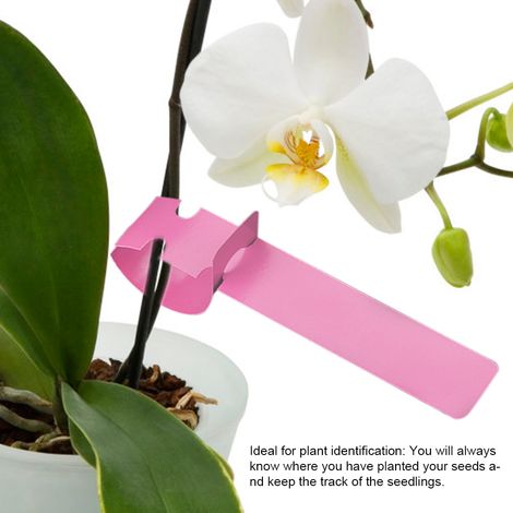 Packung mit 100 rosa Kunststoff-Gartenetiketten, dekorativen Pflanzensteckern, Saatgutmarkierungen, Zubehör für Gemüsegarten und Blumenbeet (1/5)