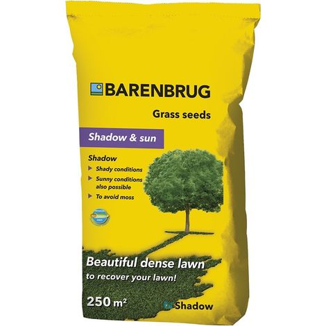 Barenbrug Shadow - Erba all'ombra 5 kg Semi di erba per aree ombreggiate 250mq