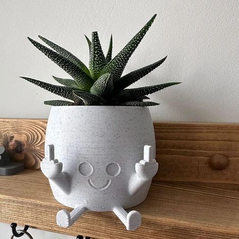 Pot à Plantes Souriant avec Doigt du Milieu, Póts à Fleurs pour Plantés Succulentes, Home DéCor de Plantes Vertes, Pot à Fleurs pour Les Amateurs de Plantes pour L'IntéRieur et L'ExtéRieur (1/5)