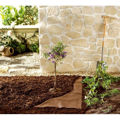 Tissu anti-mauvaises herbes 10x1,5m PP 70g/m² marron (1/5)