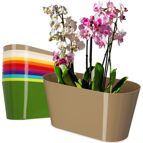 KADAX Maceta de Plástico, 27 x 13 cm, Maceta Ovalada Grande, para Orquídeas, Bellis, Pensamientos, Drazenes (Beige) (1/5)