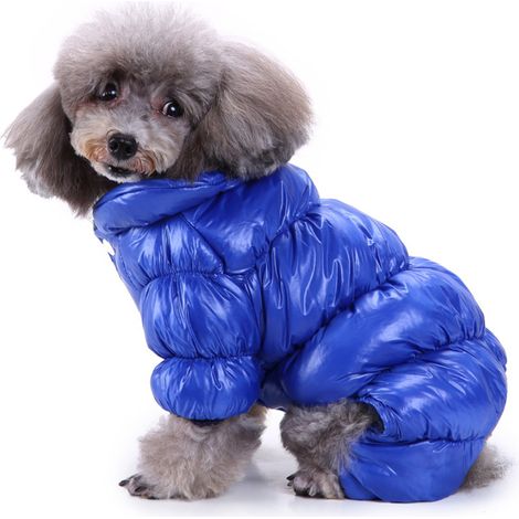 1 Pull à capuche pour chien, acrylique doux, isolation thermique, fermeture à boutons, usage quotidien automne hiver (1/5)