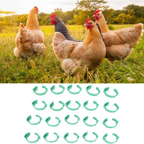 Hühner-Identifikationsringe, 100 Stück verstellbare DIY-Hühnerbeinringe für Enten und Tauben, PP-Material, 18–21 mm, grün (1/5)