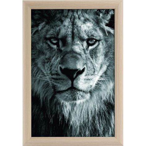 goldbuch 92 0765 Toscana Cornice portafoto in legno, cornice portafoto per foto in formato 20 x 30 cm, cornice portafoto con supporto e supporto da parete, cornice singola in MDF, cornice per foto (1/3)