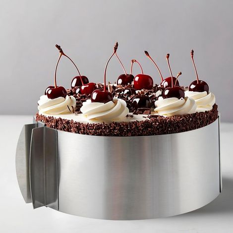 1 Cercle à Pâtisserie Réglable, Acier Inoxydable, Échelle Visuelle, Diamètre 6-12 Pouces, Pour Tarte Gâteau