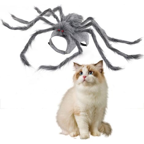 Costume da ragno per gatti e cani - S