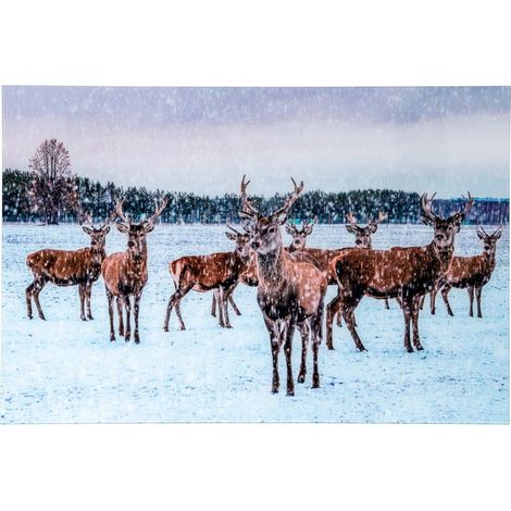 Tableau Déco en Verre "Cerfs" 80x120cm Multicolore (1/2)