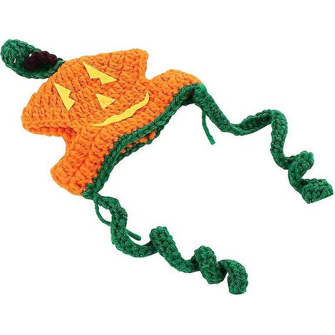 1 chapeau pour chien pour fête d'animaux (1/3)