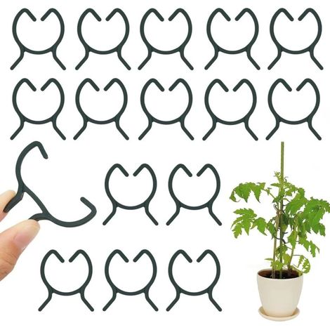 100 pinces pour plantes. Pinces à tomates. Pinces pour plantes grimpantes. Pinces d'extérieur. Pinces de jardin. Pour fruits et légumes. Tomates - L (1/5)