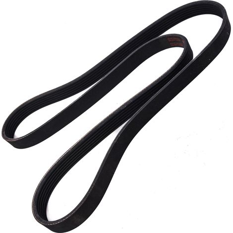 CINGHIA POLARE PK 6PK1345 (1/2)
