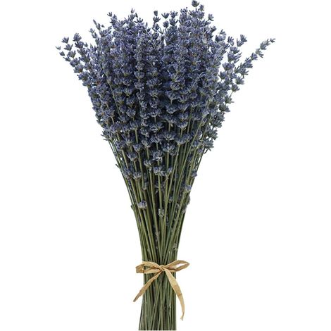 Bouquet De Lavande Séchée - 200 Brins - Naturel - Parfum Durable - Décoration Mariage Et Maison (1/5)