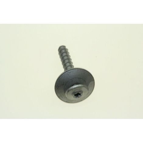 1 Vis de fixation 9,5x50 mm Tête T40 Acier TMTFR Pour lave-linge avant