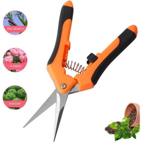 Sécateur De Jardin - Lames Droites En Acier Inoxydable - Pour Taille Précise De Fleurs Et Bonsaïs - 1 Pièce (1/3)