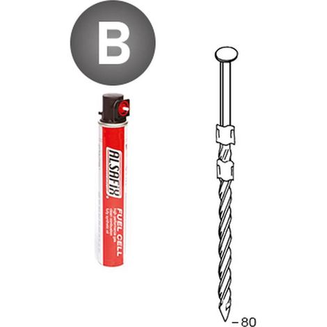 2 200 Pointes Torsadées en Bande 20° (Pack) - 3.1x80 mm + 2 Cartouches de Gaz Rouge - D-Work (1/5)