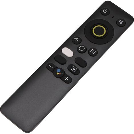 Télécommande Universelle Infrarouge pour Smart TV Assistant REM-V1 (1/4)
