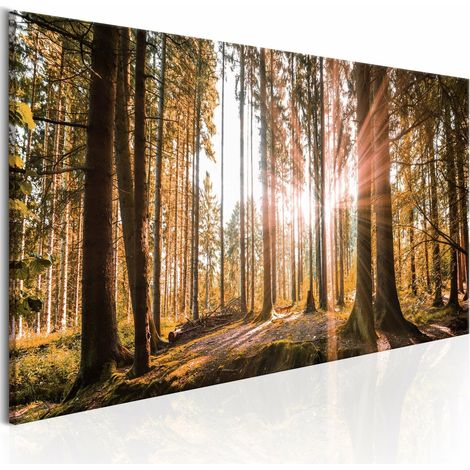 Tableau petites merveilles naturelles - 150 x 50 cm (1/4)